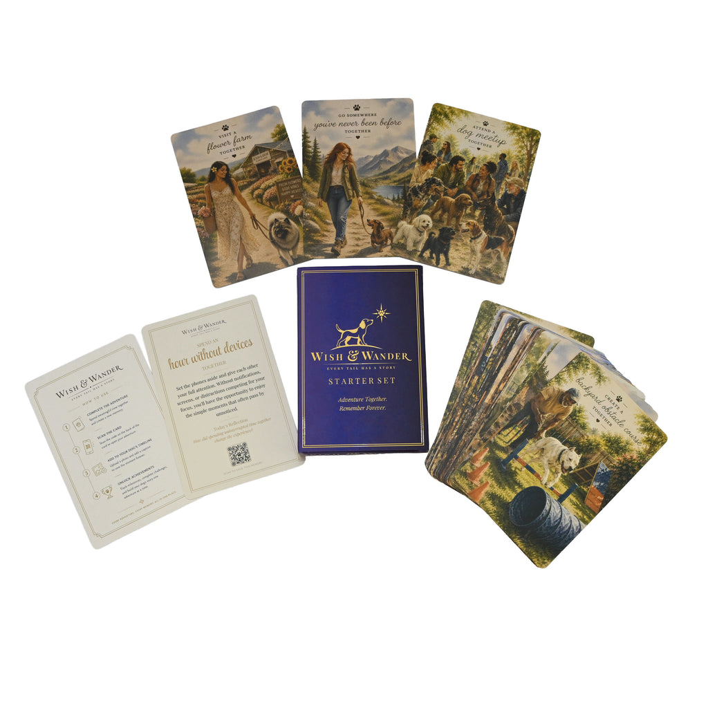 Wish & Wander Starter Deck