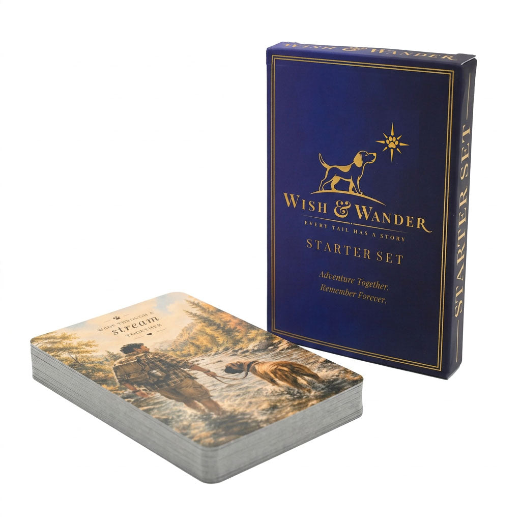 Wish & Wander Starter Deck